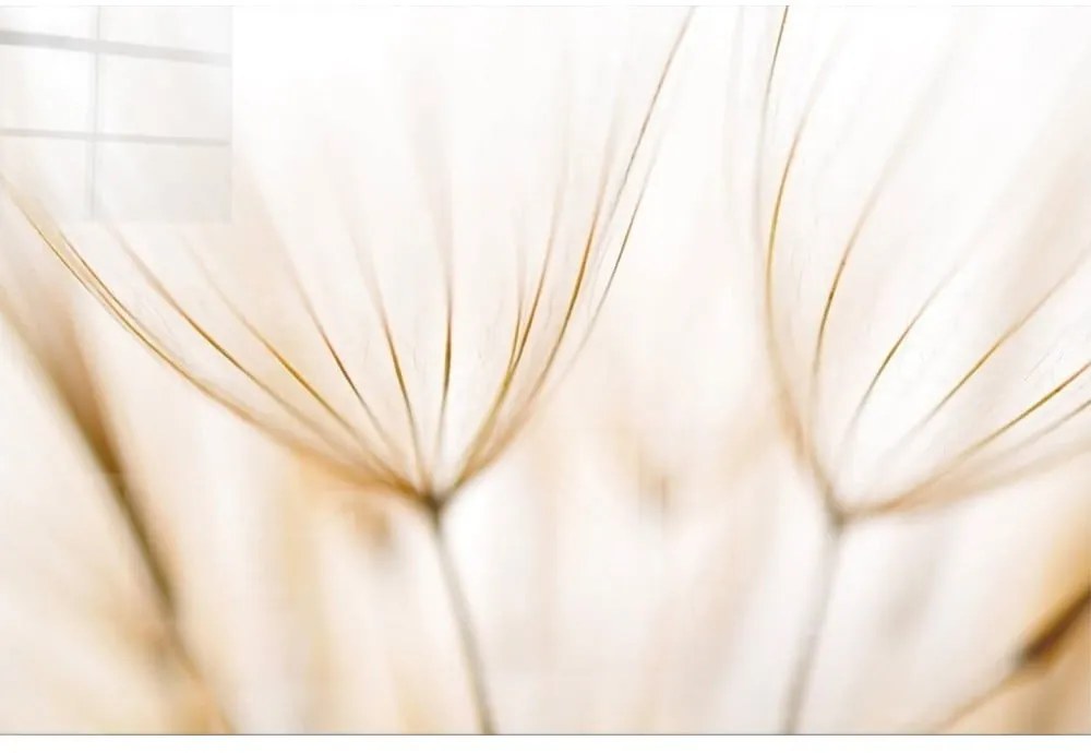 Картина върху стъкло 70x50 cm Fluff - Wallity