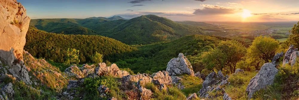 Картина на платно – Природа, залята от слънце