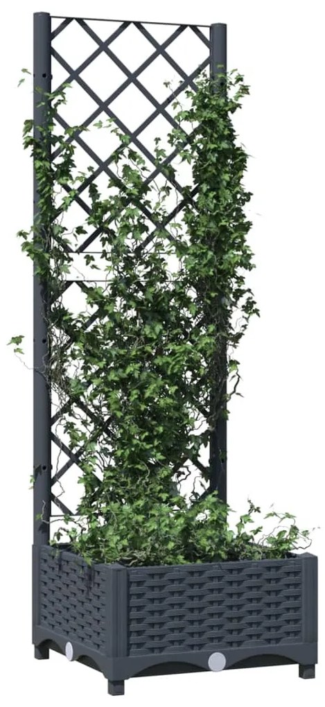 Градински сандък с пергола, тъмносив, 40x40x121,5 см, PP