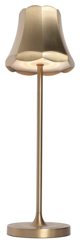 Комплект от 2 ретро настолни лампи розово злато презареждаеми IP44 - Granny