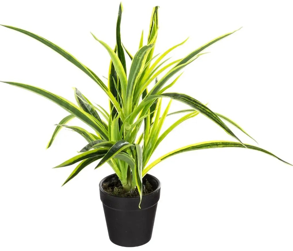 Изкуствено растение atmosphera, 30 cm, Различни видове