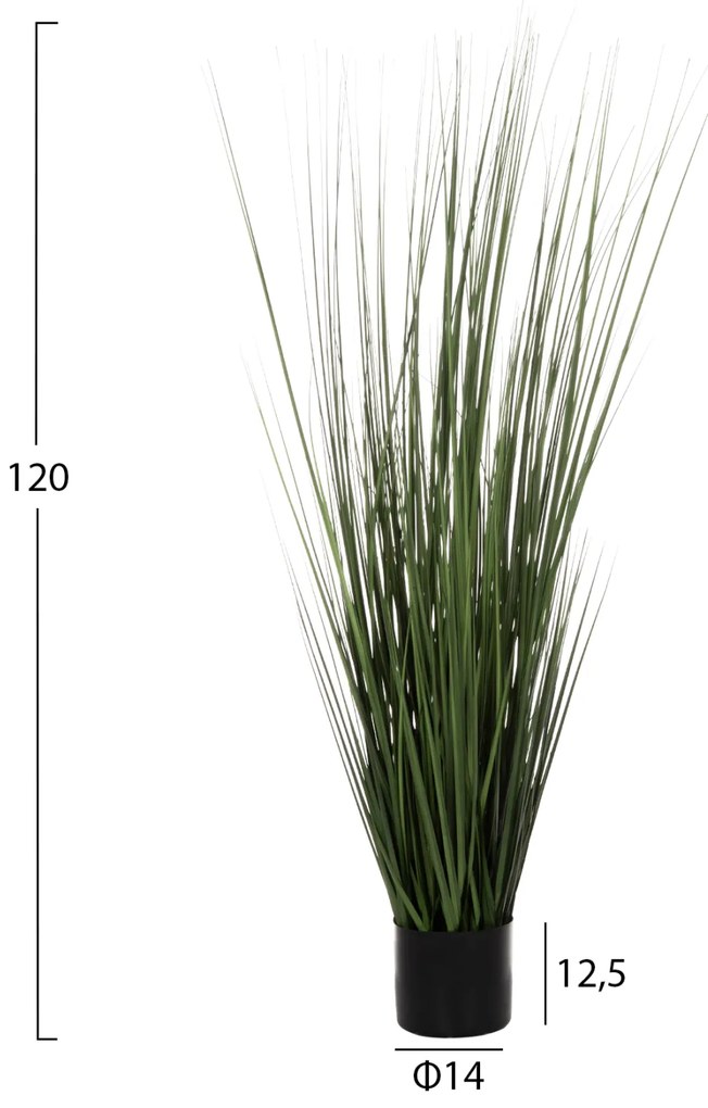 Растение Трева HM4012 зелен цвят