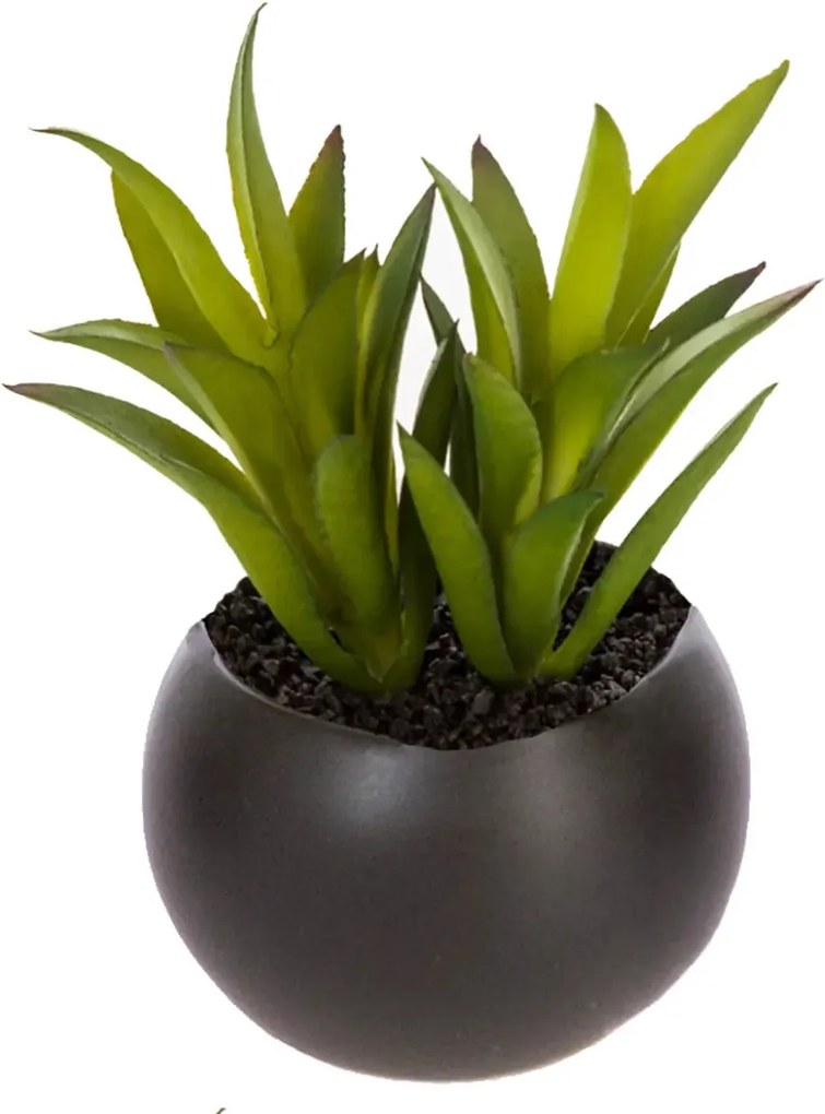 Изкуствено растение atmosphera Succulent, 6 cm, Различни видове