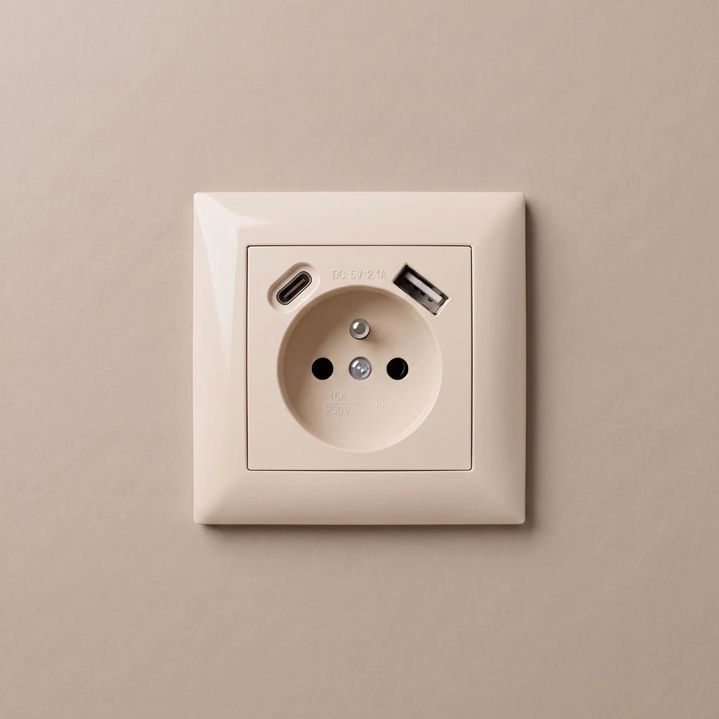 Единичен контакт със заземяване + USB-A USB-C OSTE JNH004-G Beige