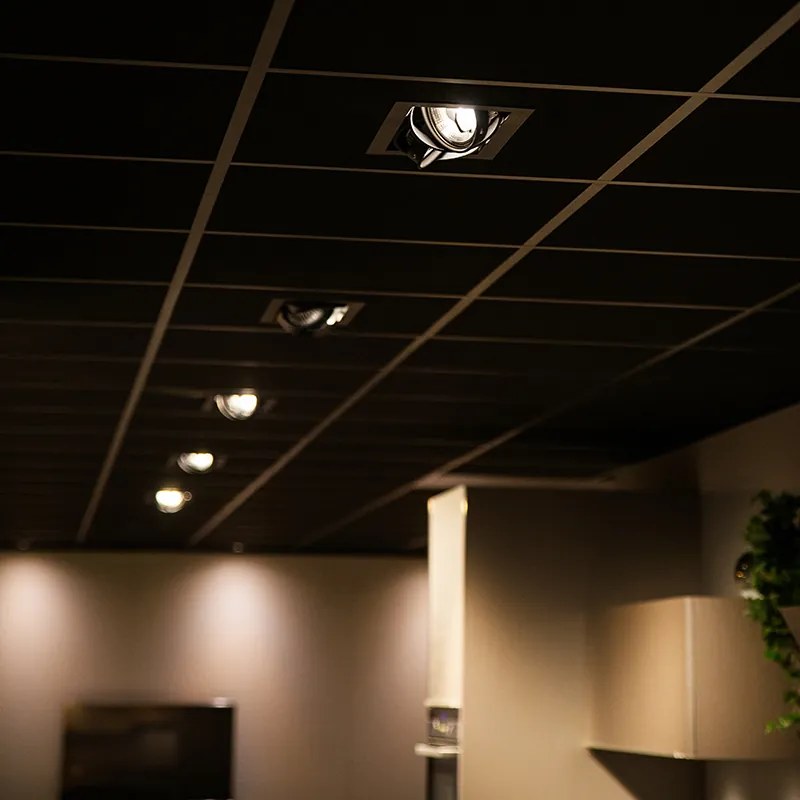 Вграден прожектор черен AR111 регулируем 2-светлина - Oneon