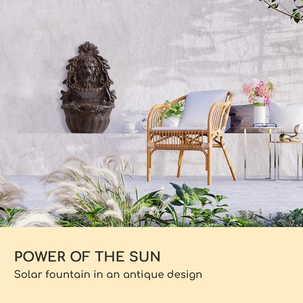 Blumfeldt Löwenstein, стенен фонтан, 2 W, соларна помпа, материал: полирезин, 4 бели LED диоди, 5 м. кабел