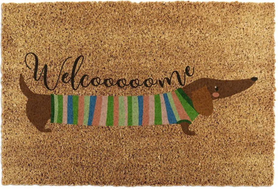 Изтривалка от кокосови влакна 40x60 cm Welcome Sausage Dog – Artsy Doormats