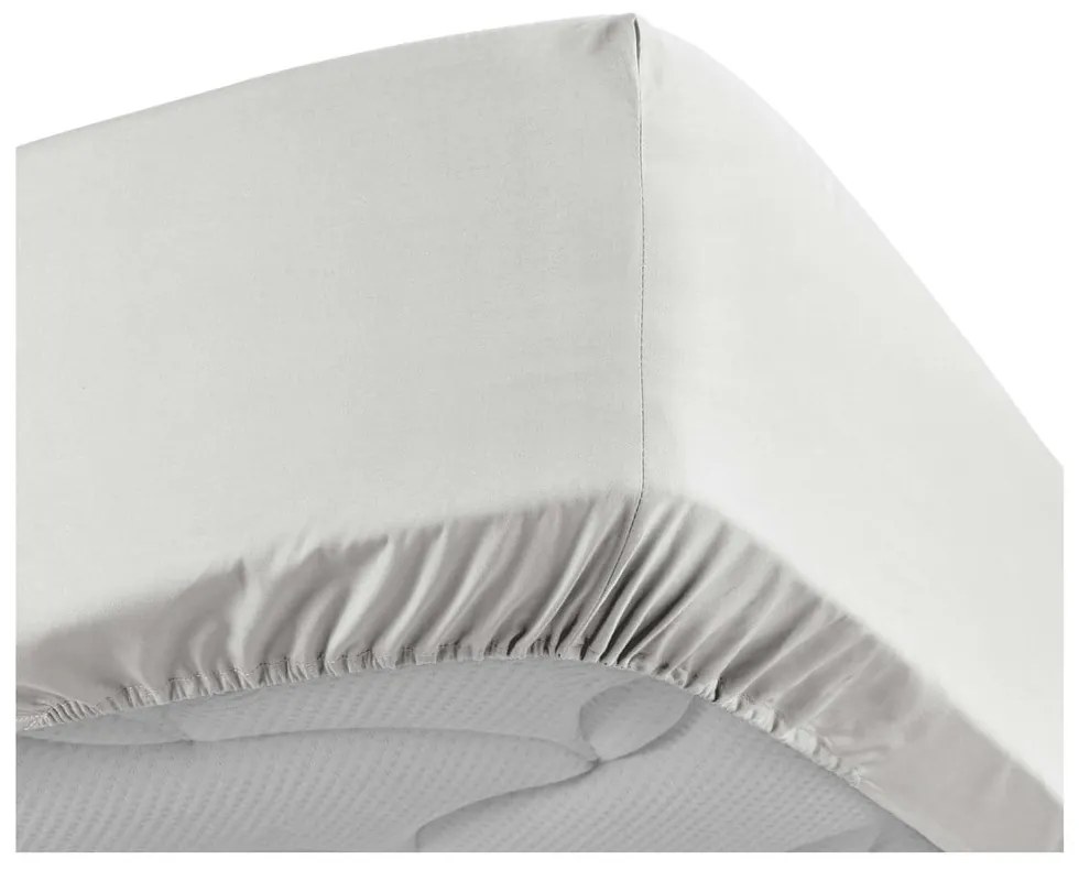 Бял еластичен чаршаф от памук перкал 180x200 cm Percaline – douceur d'intérieur