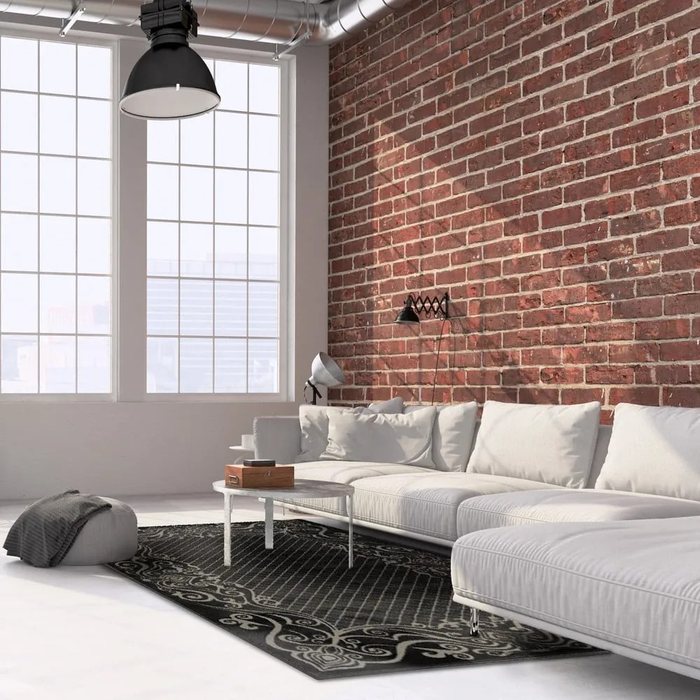 Тъмносив килим 160x230 cm Soft – FD