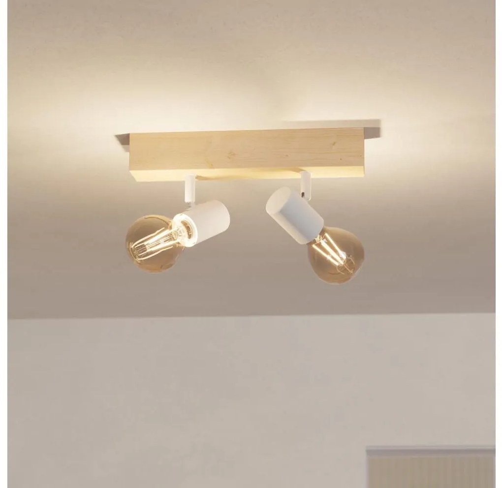 Eglo 99483 - Спот TOWNSHEND 3 2xE27/60W/230V