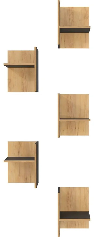 Допълнителни рафтове в комплект 5 бр. от декор от дъб в антрацитен и естествен цвят Podium – Germania