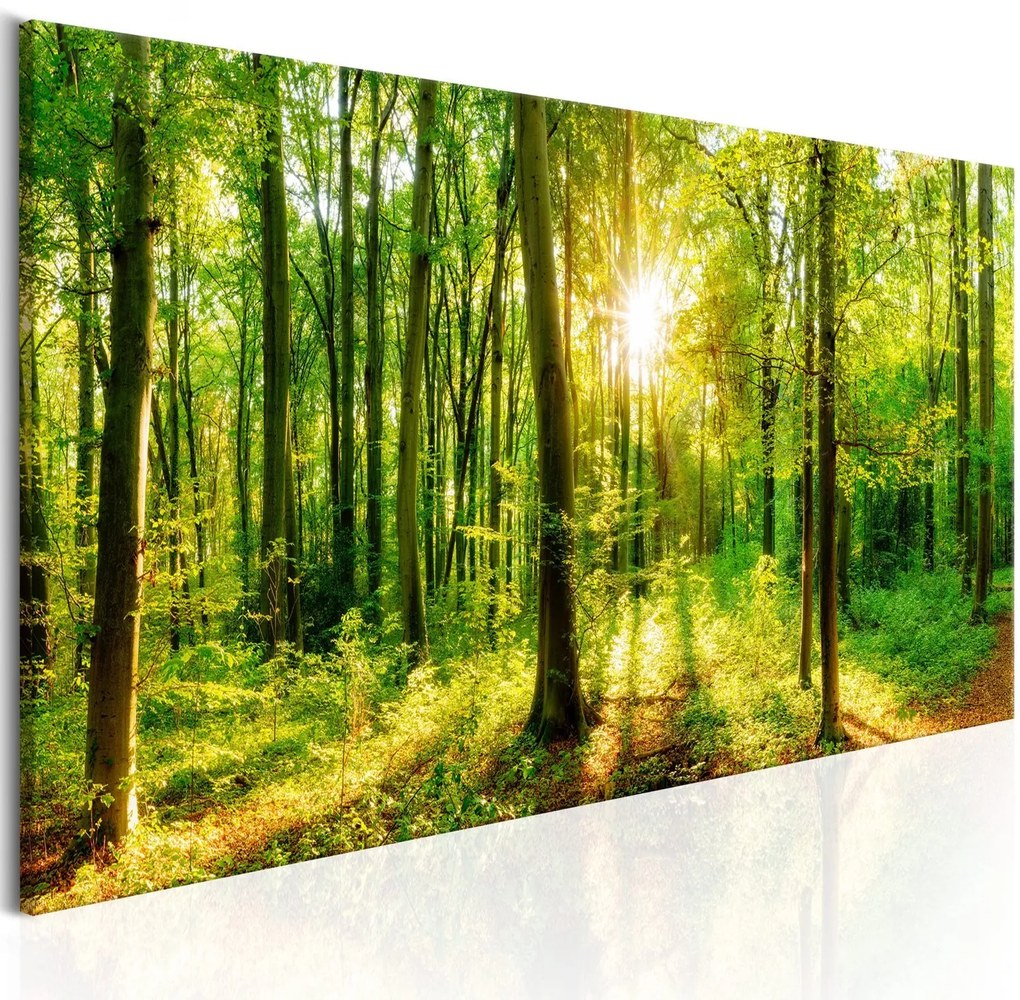 Печат върху платно - Green Magic 120x40