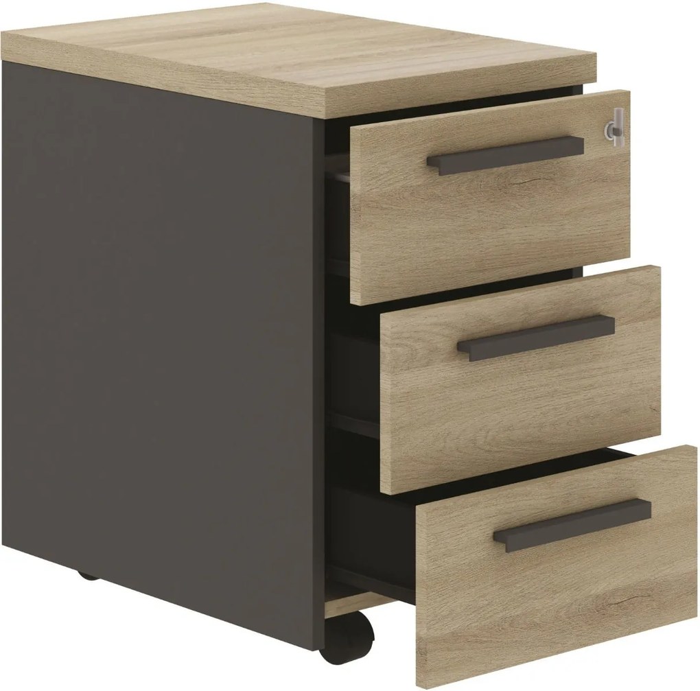 Скрин Orderly-Mauro