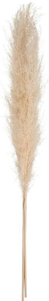 Изкуствено растение atmosphera Natural Pampa, 110см, 3бр, Бежов