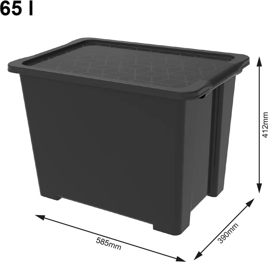 Пластмасова кутия за съхранение с капак Evo Easy - Rotho