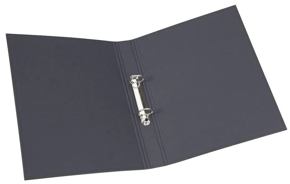 Картонен органайзер за документи Ringo - Bigso Box of Sweden