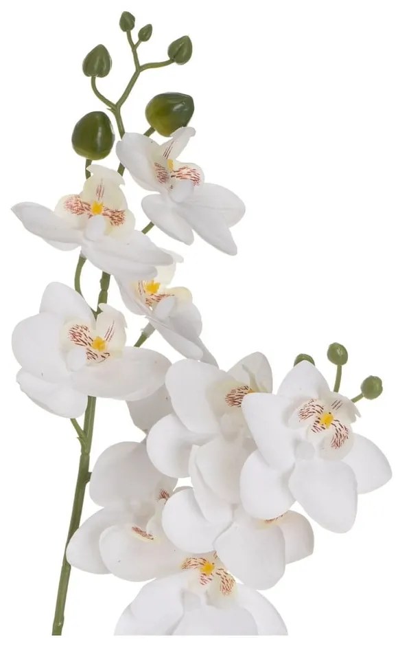 Изкуствено цвете (височина 39 cm) Orchid – Casa Selección
