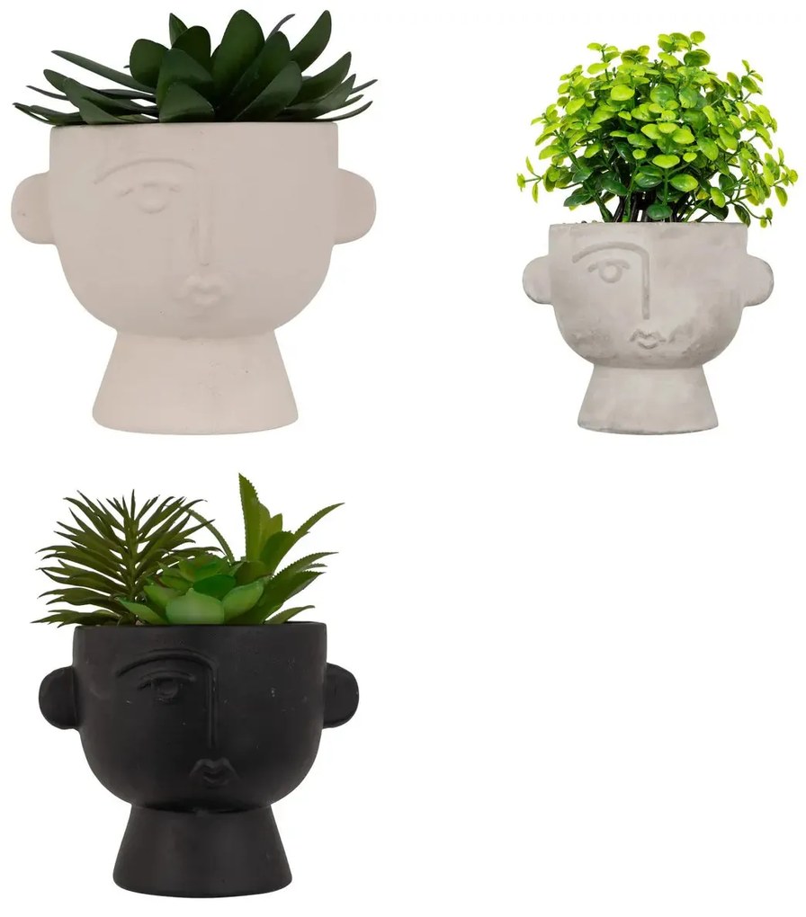 Изкуствено растение atmosphera Dusty Succulent, 22 cm, Различни видове