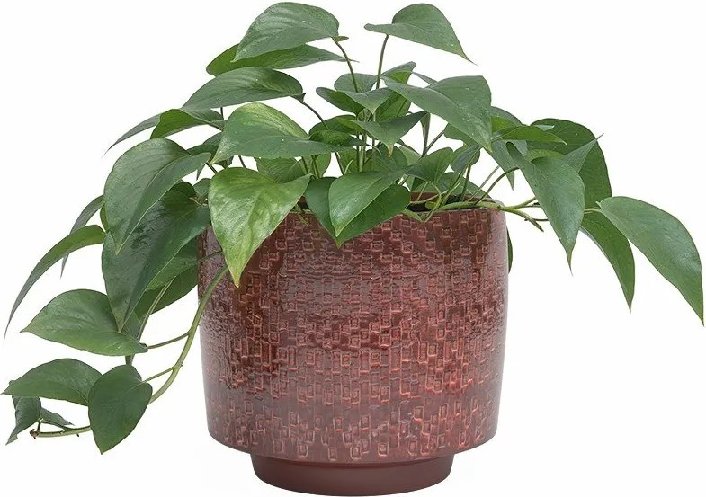 Керамично ръчно изработено покритие за кашпа ø 21 cm Minerva – Artevasi