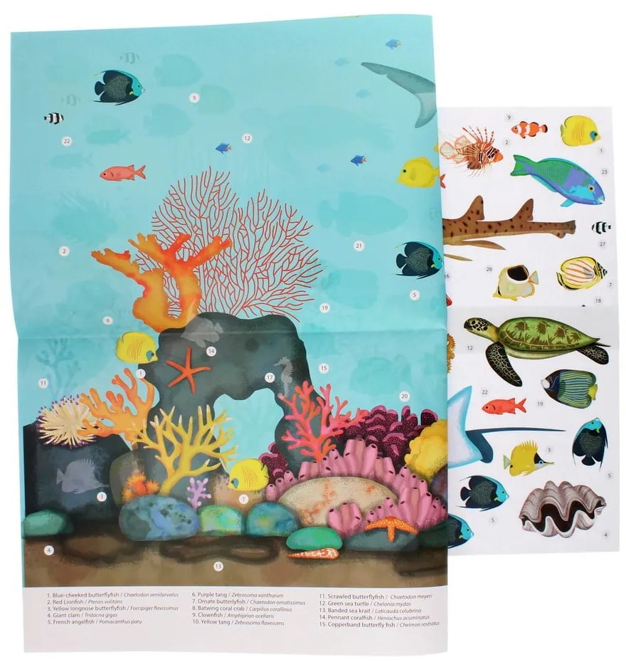 Творчески комплект Coral Reef – Rex London