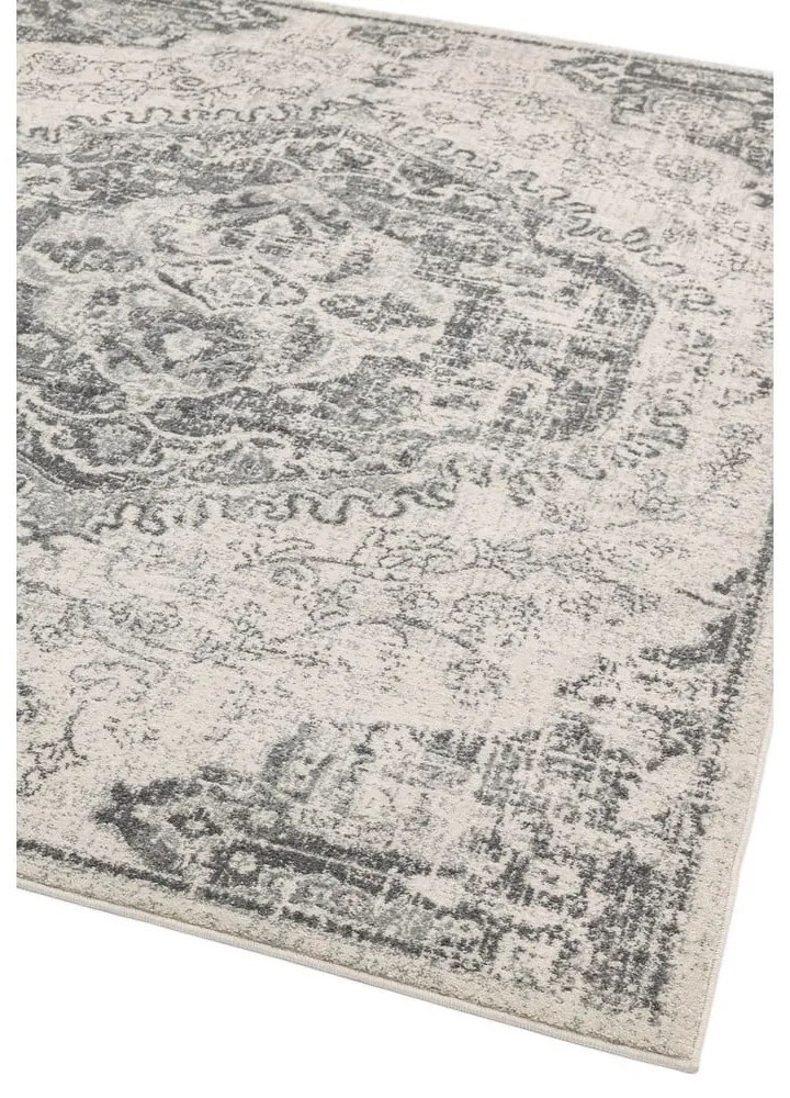 Сиво-кремав килим 160x230 cm Nova – Asiatic Carpets