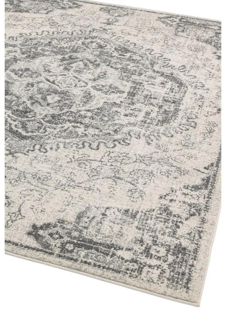 Сиво-кремав килим 200x290 cm Nova – Asiatic Carpets