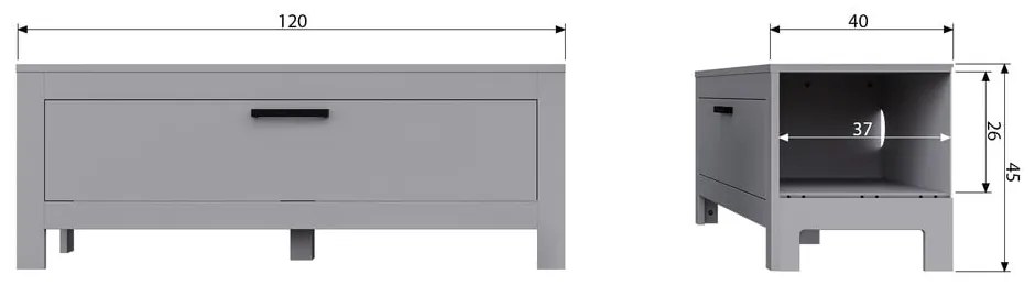 Светлосива маса за телевизор от масивен бор 120x45x40 cm Bonk – WOOOD
