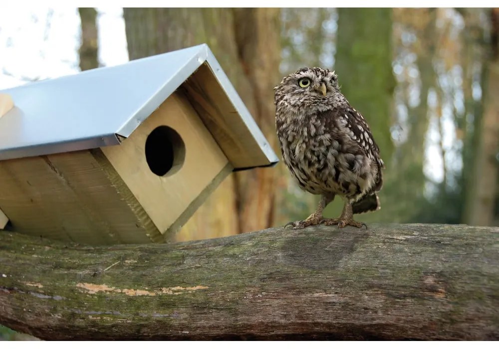 Дървена къщичка за сови – Esschert Design