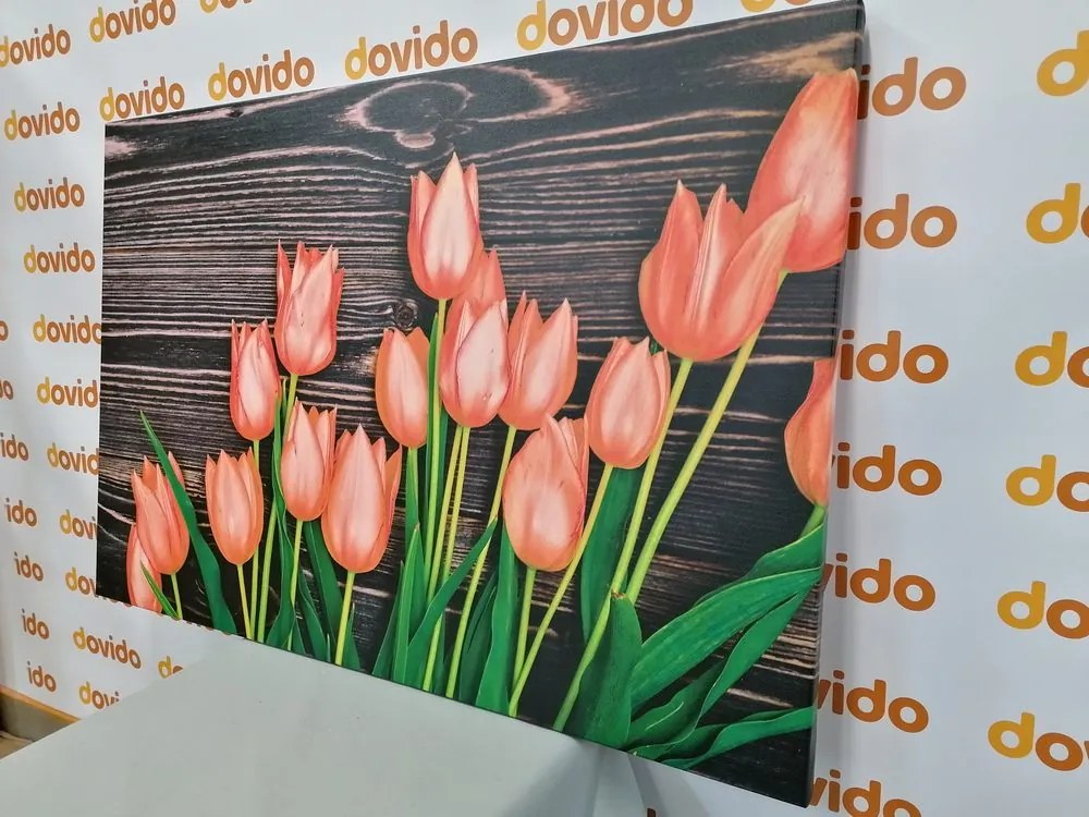 Картина на платно – Очарователни оранжеви лалета на дървена основа