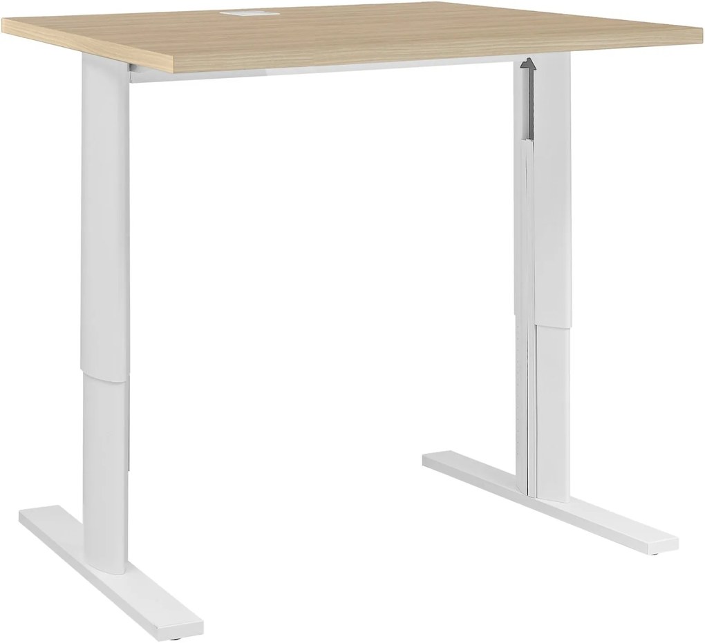 Бюро DeskVision I-Leuko