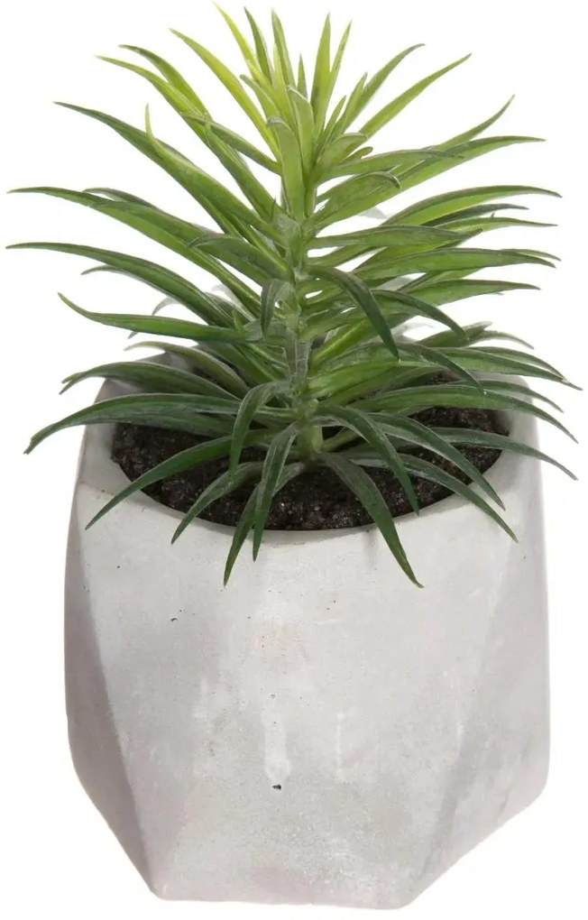 Изкуствено растение atmosphera Succulent, 14 cm, Различни видове