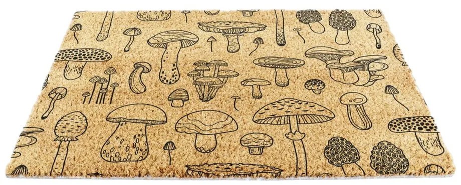 Изтривалка от кокосови влакна 40x60 cm Mushrooms – Artsy Doormats