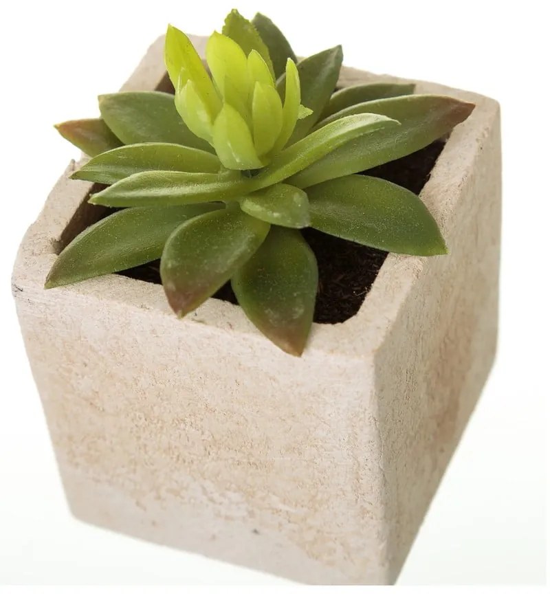 Изкуствени растения в комплект от 6 броя (височина 9,5 см) Cactus - Casa Selección