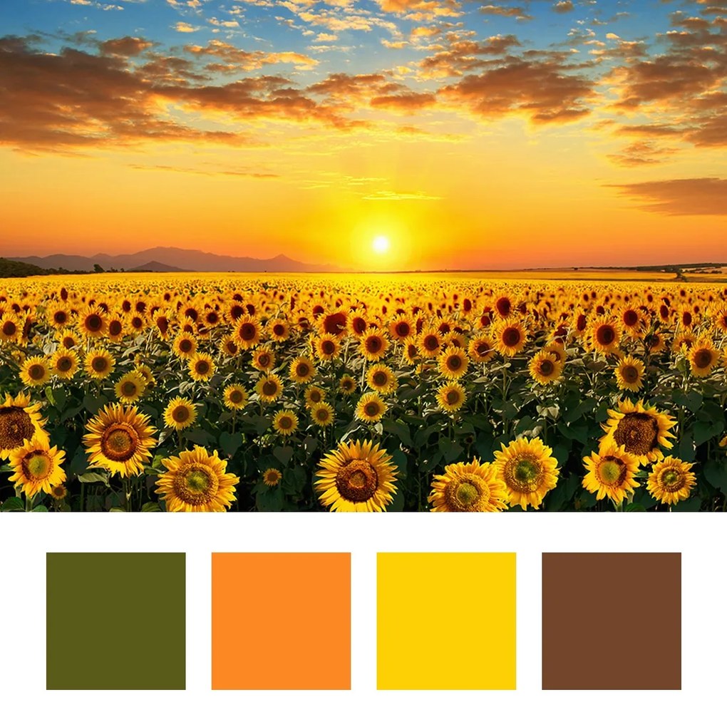 Фототапет слънчогледи