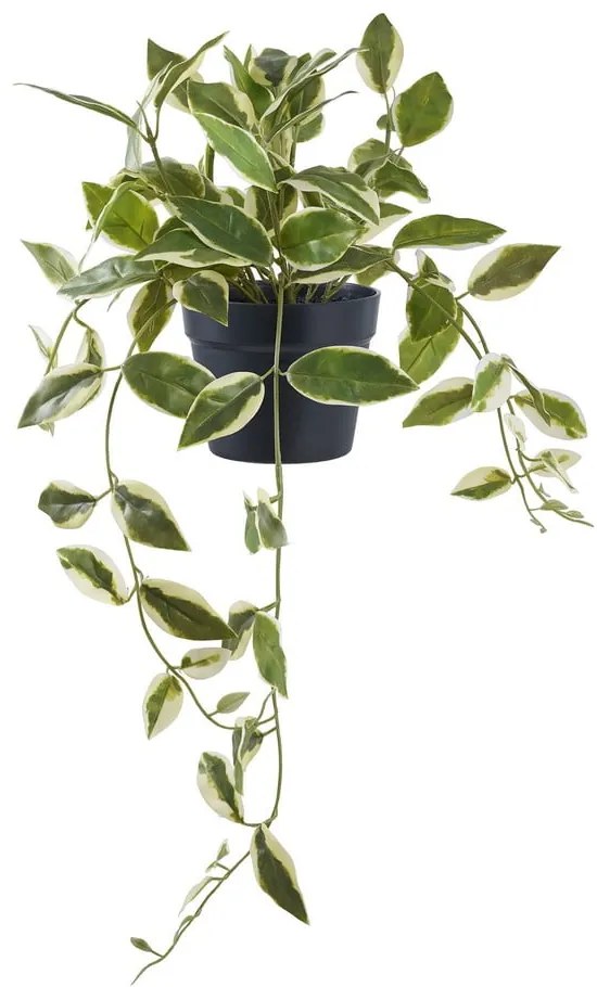 Изкуствено растение (височина 33 cm) Hoya Carnosa – House Nordic