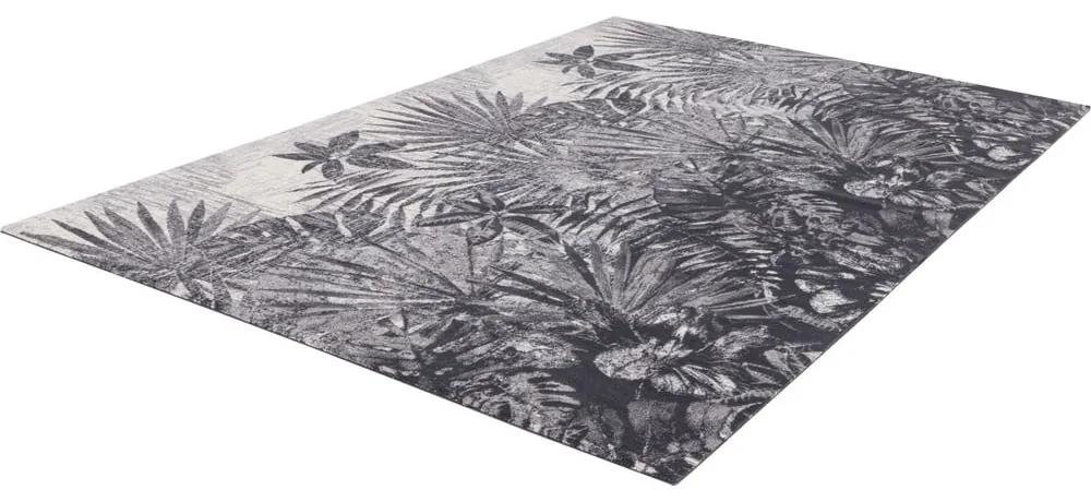 Сив вълнен килим 133x180 cm Tropic - Agnella