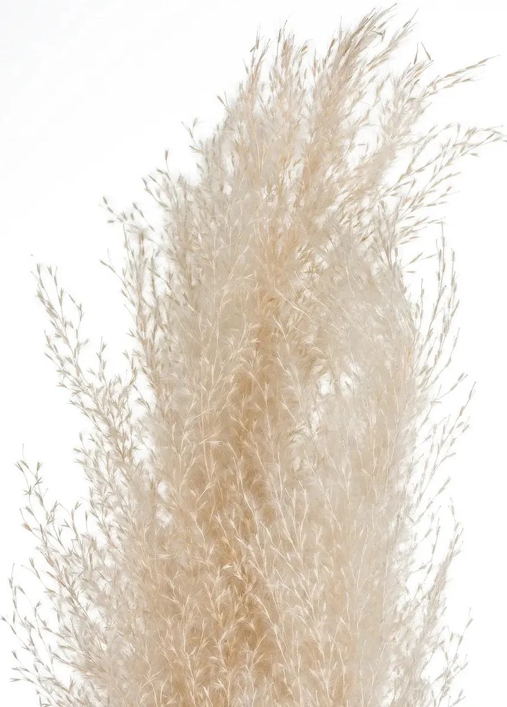 Изкуствено растение atmosphera Natural Pampa, 110см, 3бр, Бежов