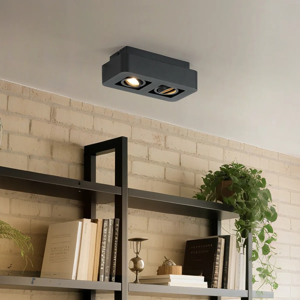 Заоблен повърхностно монтиран прожектор черен 2-лампи въртящ се и накланящ се - Dox