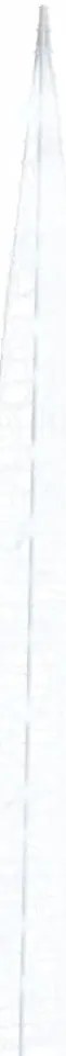 328964 vidaXL Акрилен декоративен LED светещ конус студено бял 120 см