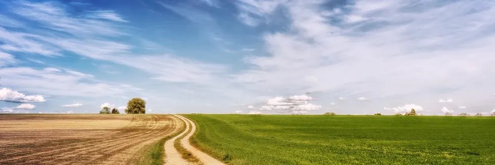 Картина на платно – Вълшебен пейзаж