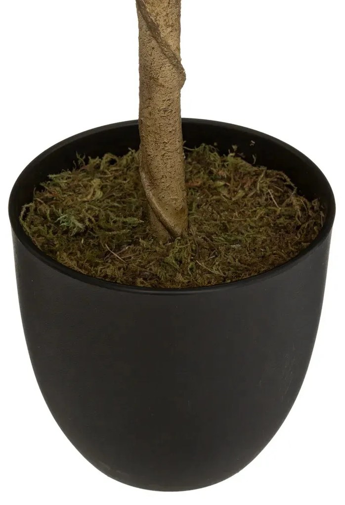 Изкуствено растение atmosphera Lemon Tree, 70 cm