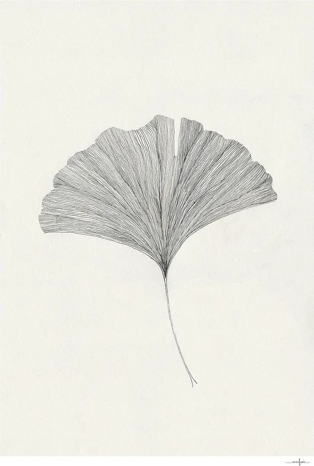 Постер 50x70 cm Ginkgo Leaf – Ana Frois – The Poster Club