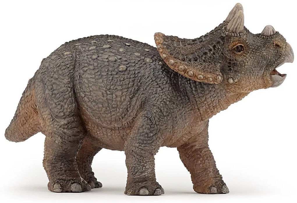 Papo - Фигурка Young Triceratops 55036