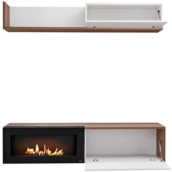 Холна секция Reymond-Anthraki