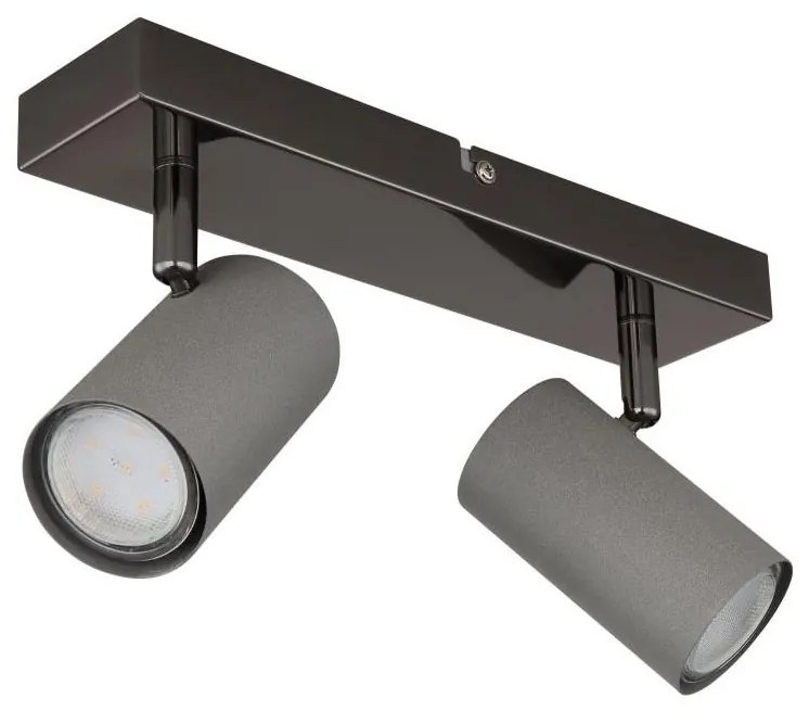 Globo 57911-2S - Спот ROBBY 2xGU10/25W/230V