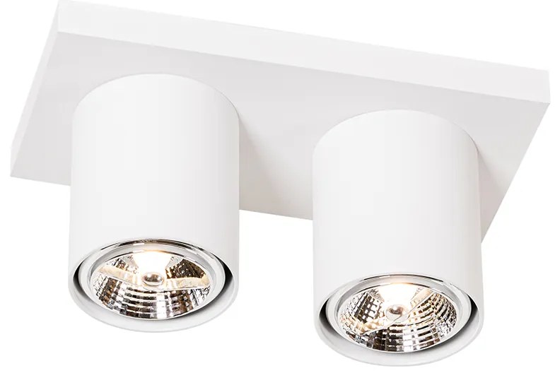 Модерен таванен прожектор бял 2-светлина - Tubo