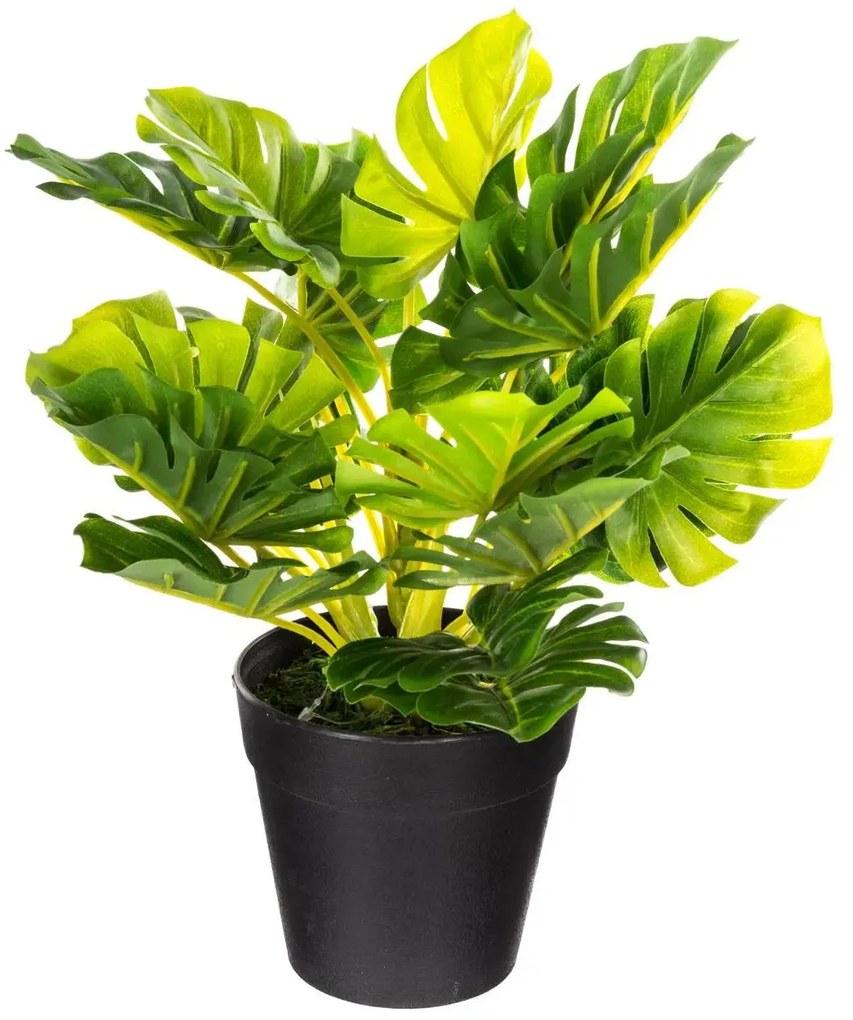 Изкуствено растение atmosphera, 30 cm, Различни видове