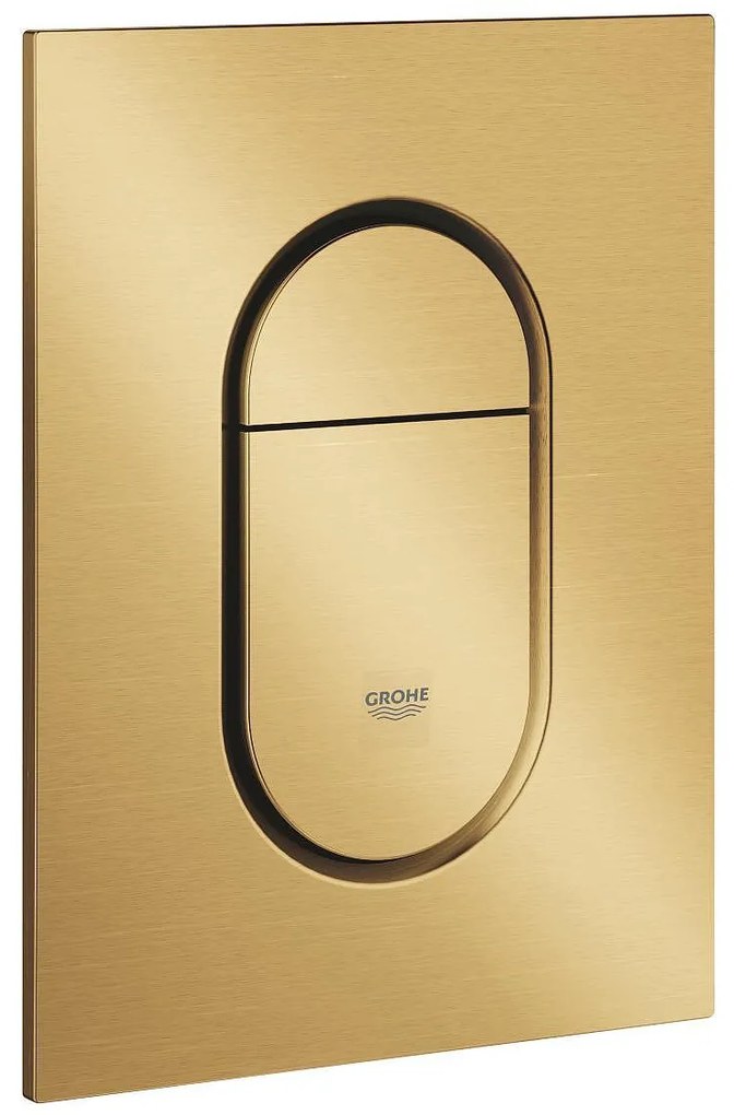 Arena Cosmopolitan S Бутон