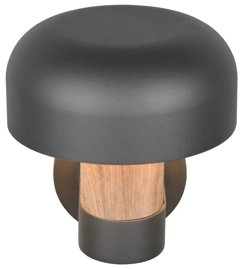 Стенно външно осветително тяло (височина 24,5 cm) Fraser – Trio