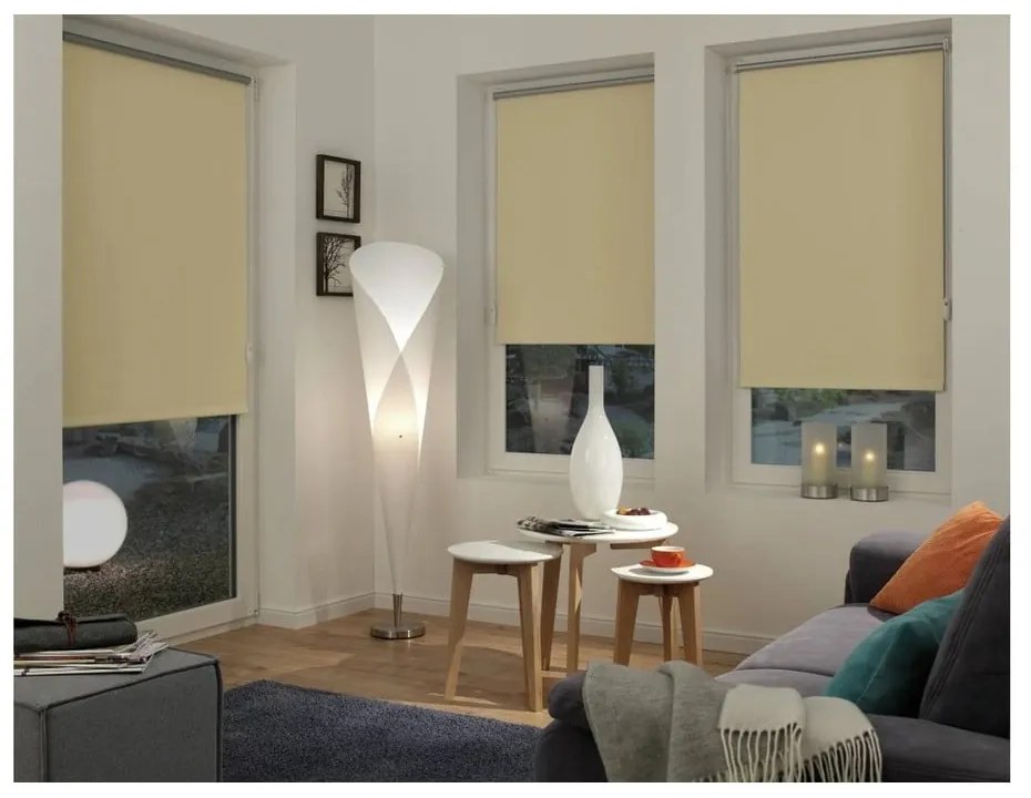 Ролетна щора в естествен цвят 72,5x150 cm Mini Termo – Gardinia